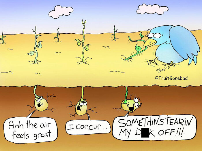 25 New Hilariously Inappropriate Comics From ‘Fruit Gone Bad’