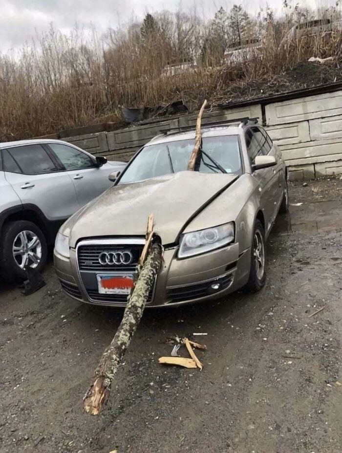 Los Audi no pueden saltar con pértiga