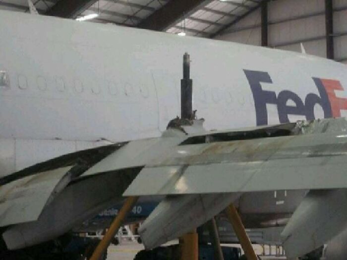 Henceforth This Jack Will Be Known As 'Vlad'