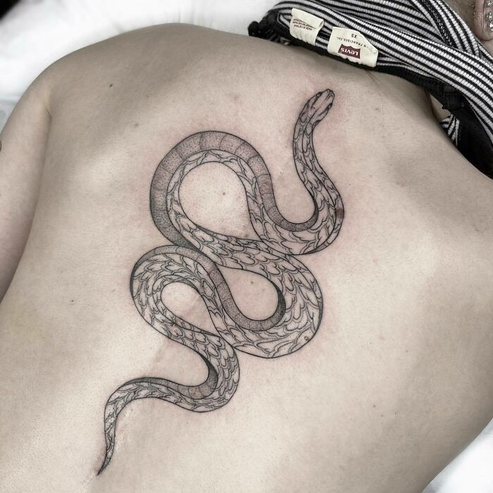 Snake tattoo on back