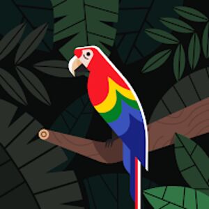 janekolszewski avatar