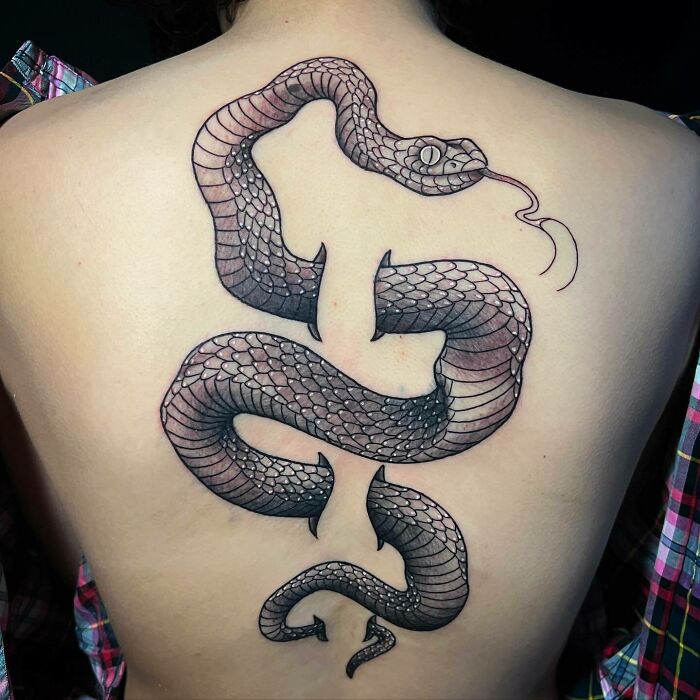 Large snake tattoo on back