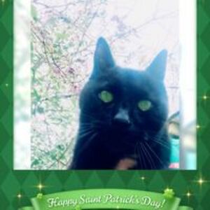 drewsqueen1620 avatar