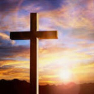 jacobwilson_3 avatar