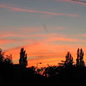 grangevillegirl avatar