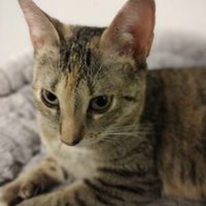 mchristensen2497 avatar