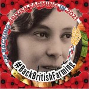 lesley_pounder avatar