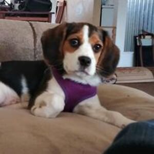 michellecoy810 avatar