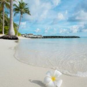 rurounistarfire619 avatar