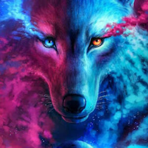 sawyernabozniak avatar