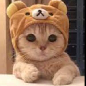 yeraldinegonzalezrios avatar