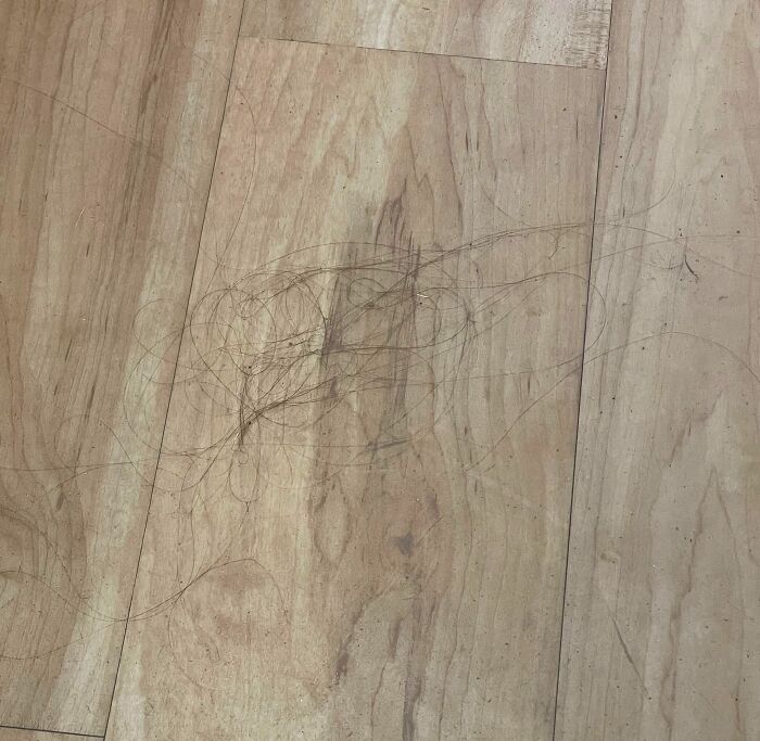 My Coworker Pulls Out Loose Hairs And Leaves Them All Over The Floor Of Our Shared Office