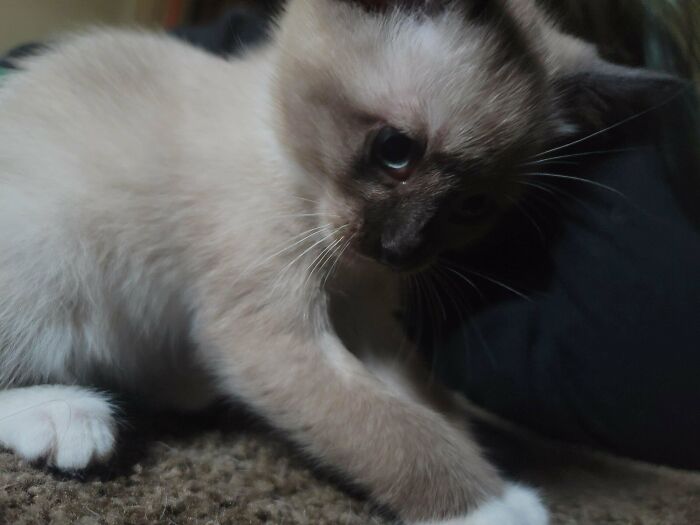 My New Baby, Kita! 💚