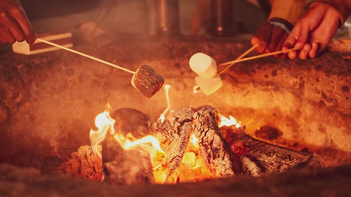 Marshmallows on sticks over the fire