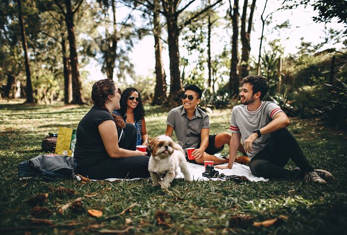people with a dog have picnic in the park