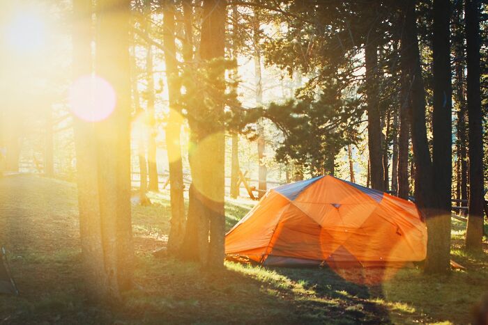 an orange tent in the forest