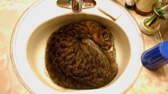 I Don't Think He Realizes He's Just One Turn Of A Faucet Handle Away From A Big Surprise