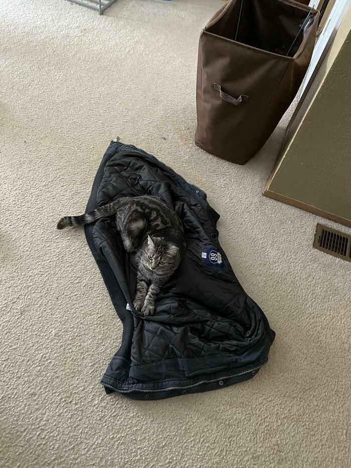 Coat Was On The Floor For Less Than A Minute