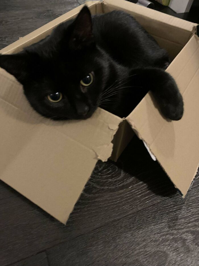 New Year’s Eve Party In A Box