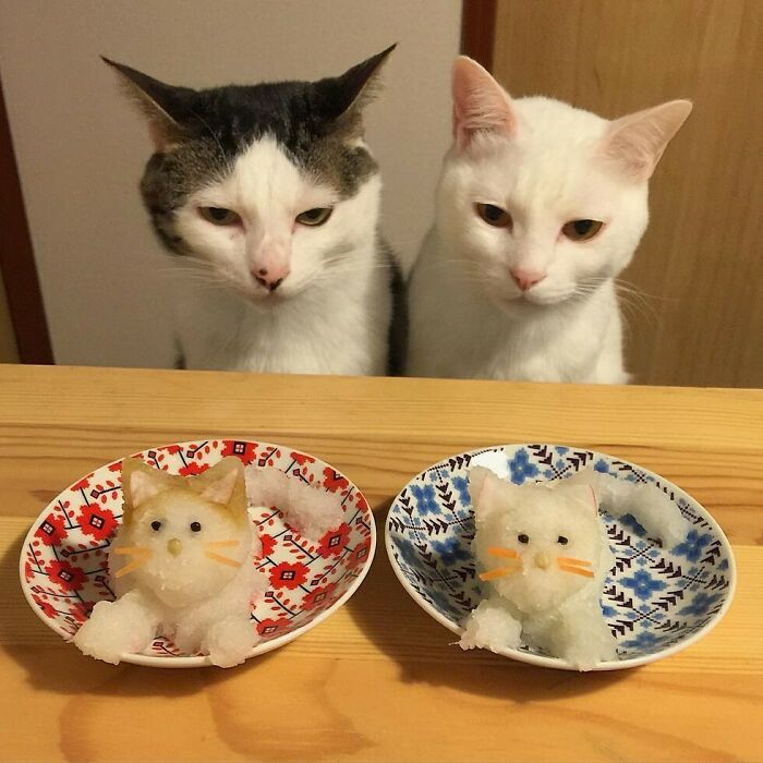 Two cats sitting at a table with cute animal-shaped food sculptures in colorful bowls, showcasing adorable eating moments