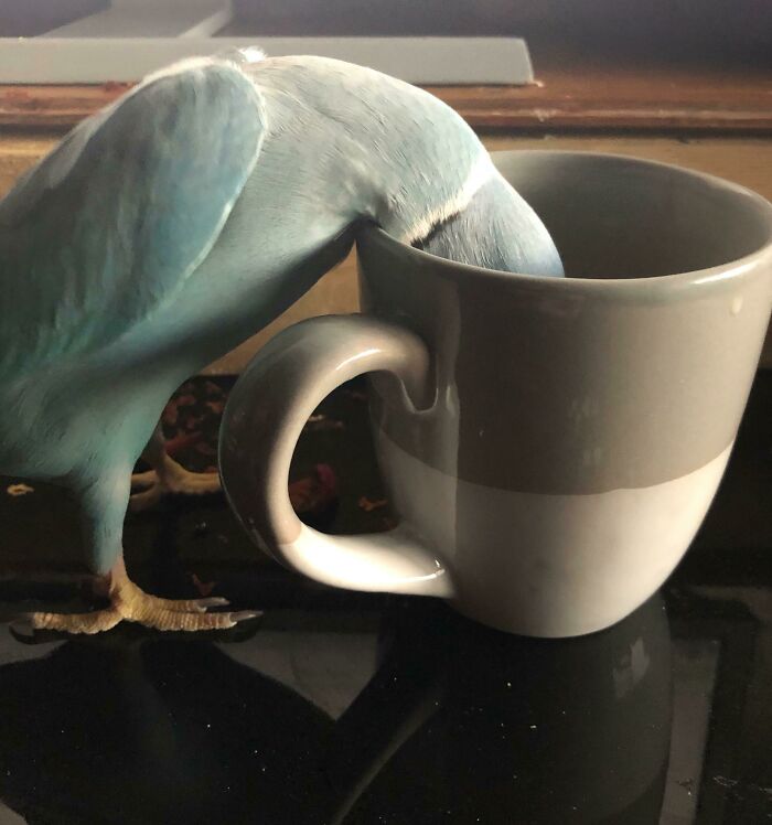 That’s Okay I Don’t Want The Rest Of My Tea