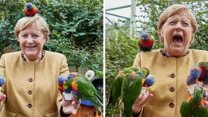 German Chancellor Angela Merkel At A Bird Park