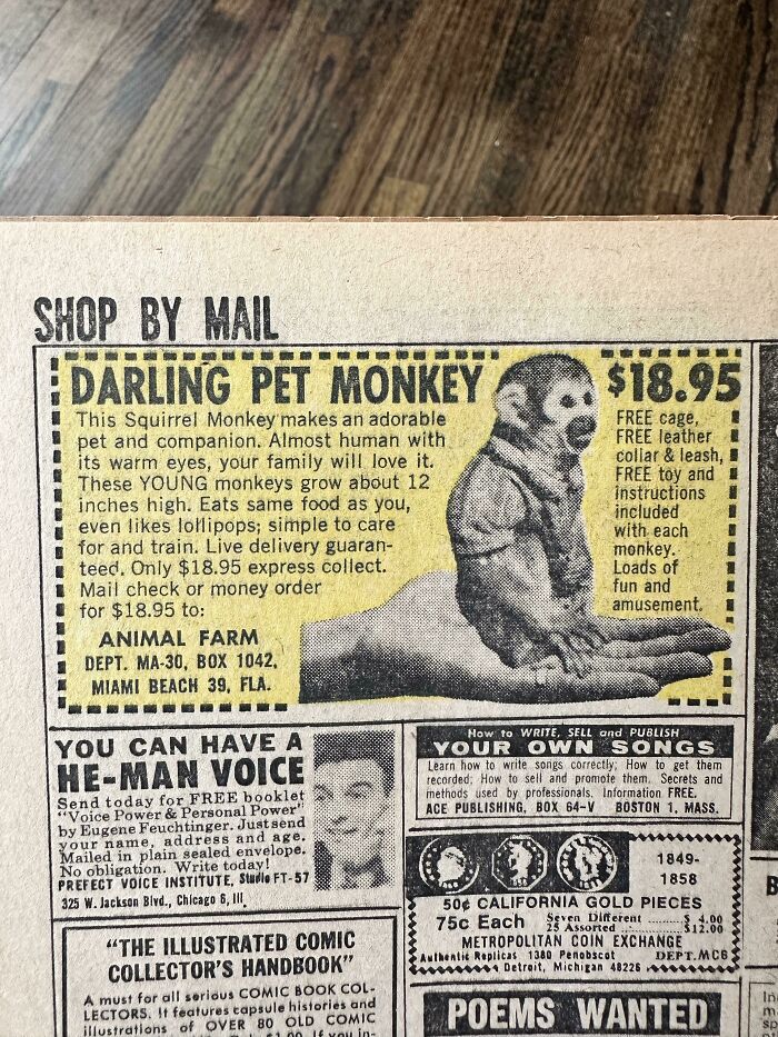 An Ad To Buy A Squirrel Monkey For Less Than $20 In A Comic Book From The 60s
