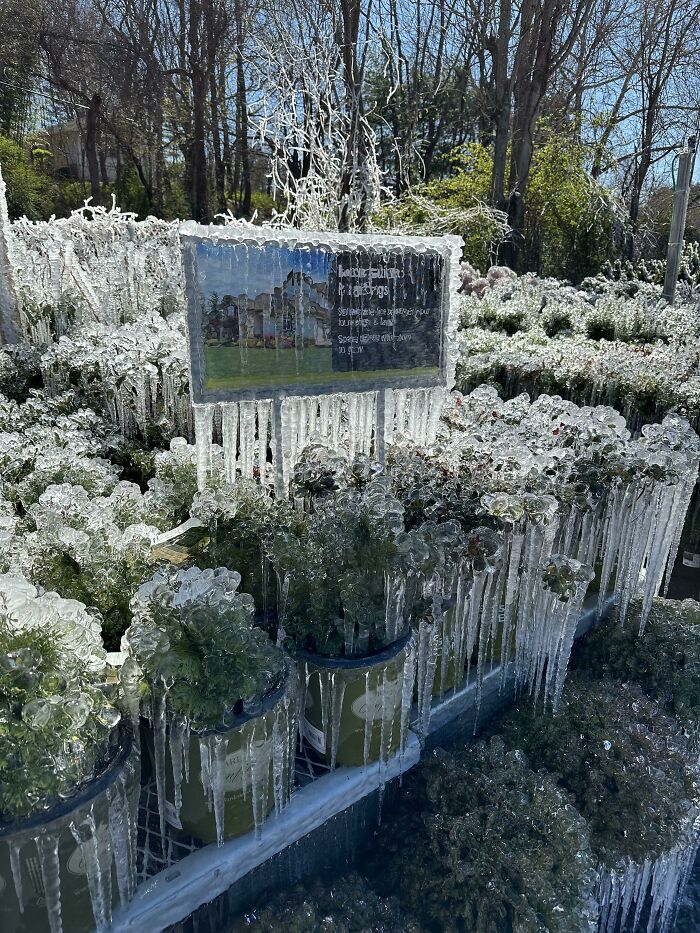 Home Depot Left The Sprinklers On Overnight In Freezing Weather