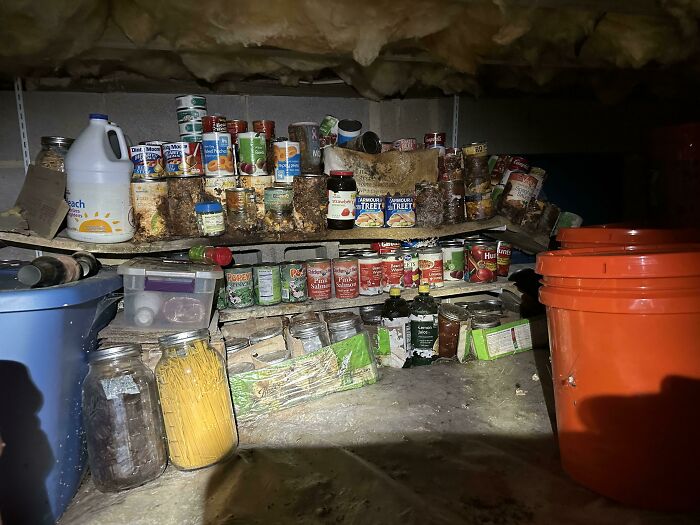 This 15 Year Old Stash Of Canned Food I Found In My Crawl Space From The House’s Previous Owner