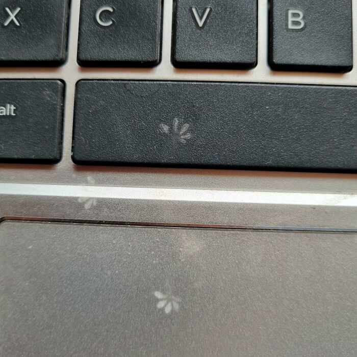 Lizard Footprints On My Laptop