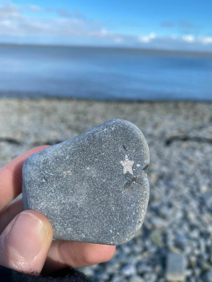 This Rock With An Almost Perfect Star-Shaped Crystal In It