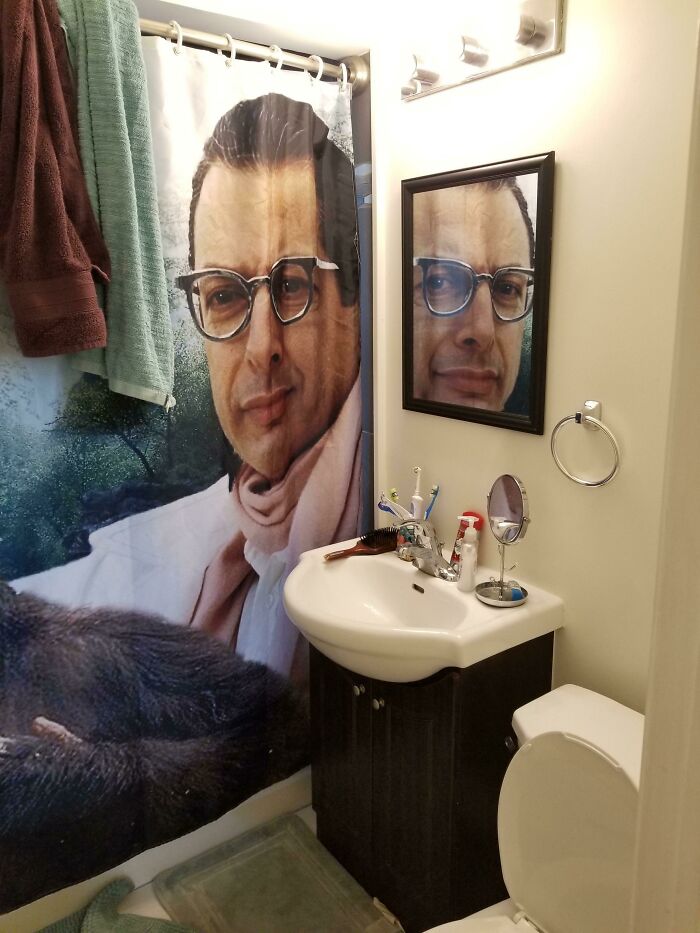 Jeff Goldblum Shower Curtain reflection in a mirror of a bathroom 