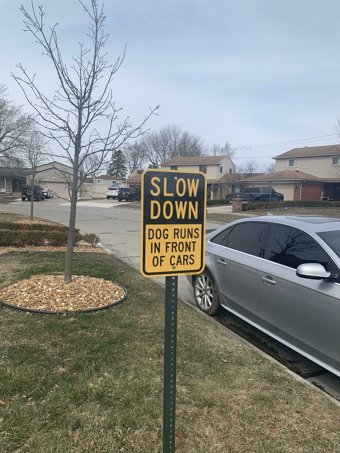 This Sign Warning Of A Dog Who Runs In Front Of Cars