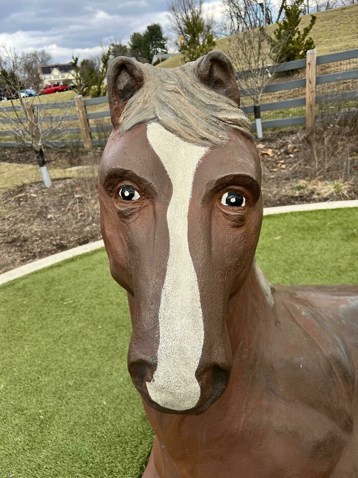 Este caballo con ojos en la parte delantera de la cabeza 