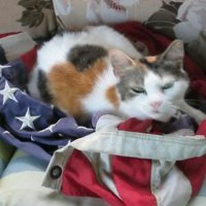 wiesendanger2 avatar