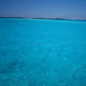 larsonproductions avatar