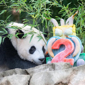 mckayanderson_1 avatar