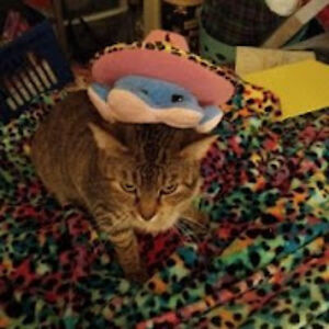 barbiegirl2100 avatar