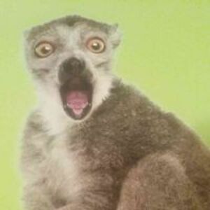 camelsrock3645 avatar