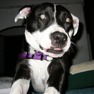 christinemandrake avatar