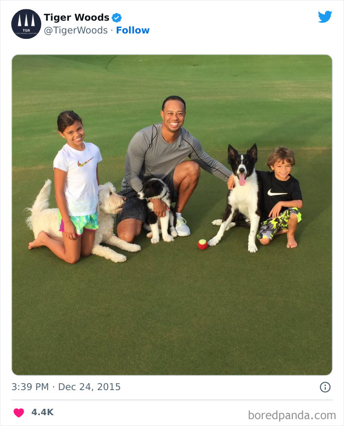 Tiger Woods With Yogi, Bugs, And Taz