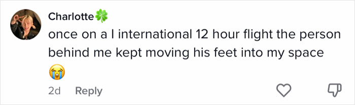 Travel Blogger Criticizes Passengers Who Don't Observe Her Unwritten 'Plane Etiquette Rules', Stirs Discussion Online