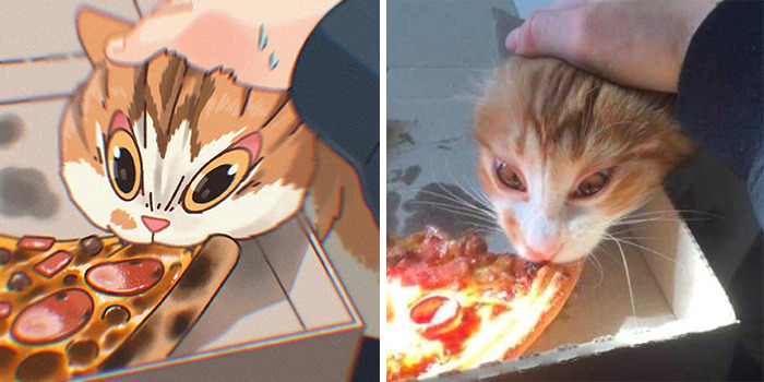 This Artist Recreates Funny Cat Images Into Comical Illustrations (31 Pics)