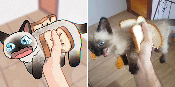 This Artist Recreates Funny Cat Images Into Comical Illustrations (31 Pics)