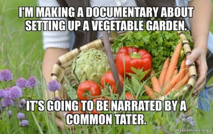 All-You-Can-Eat-Funny-Memes