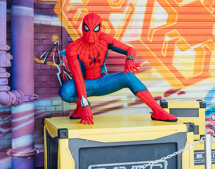 Person wearing Spider-man outfit