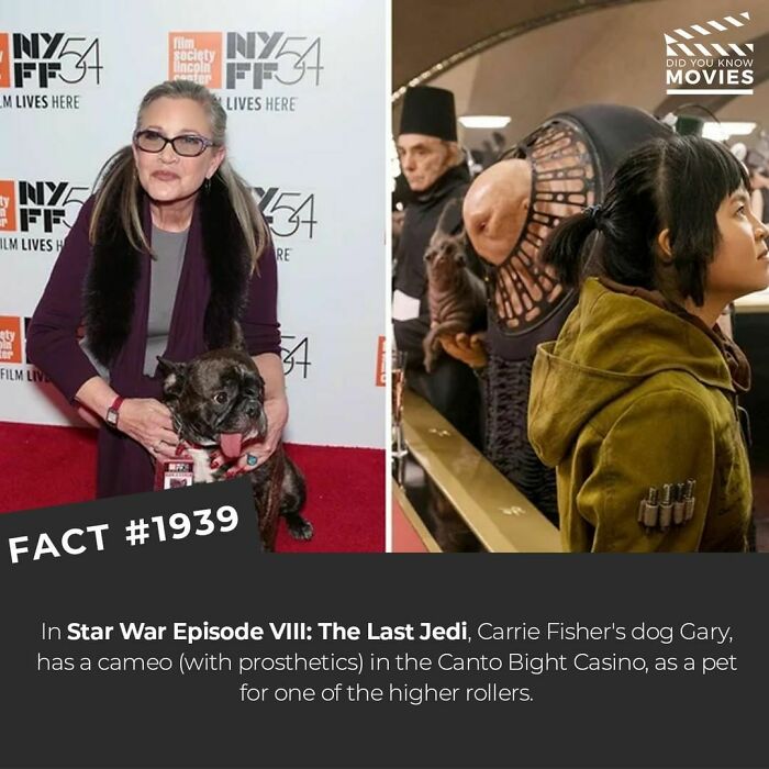 Did-You-Know-Movies-Facts