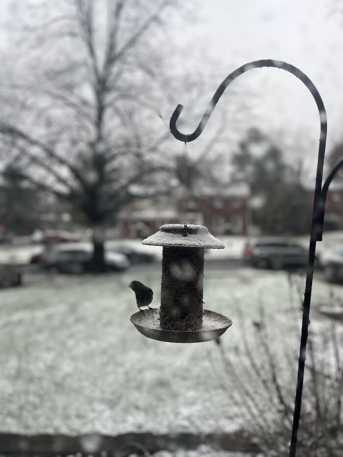 Outside My Window. Taken With My “Mom’s” iPhone 13