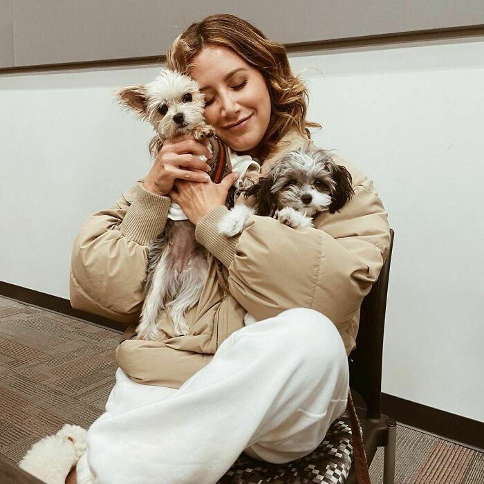 Ashley Tisdale With Dogs Ziggy And Sushi