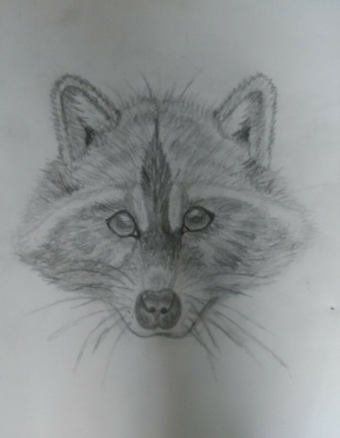 Not My Best, But Maybe My Favourite